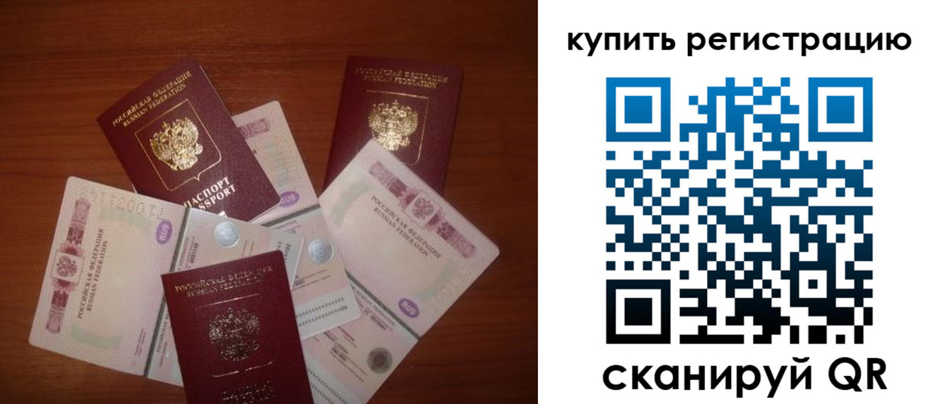 временная регистрация гарантия в Камышлове